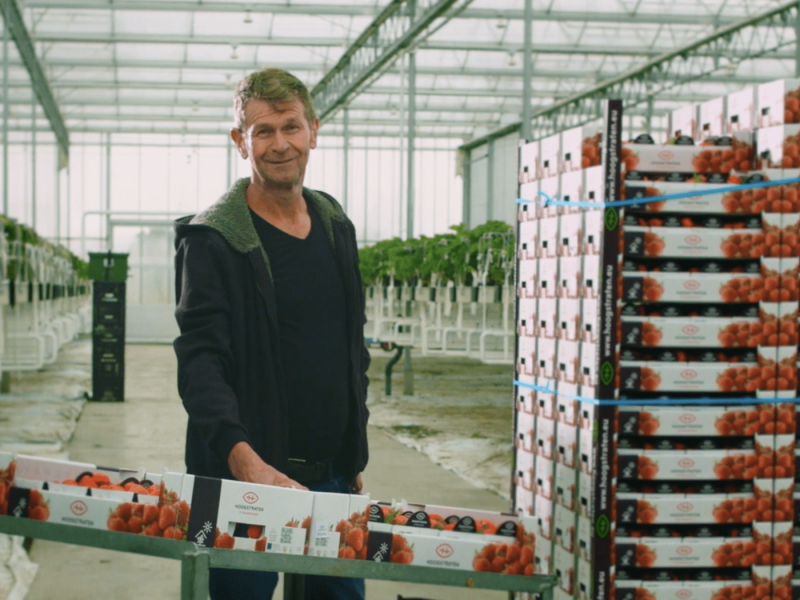 Hoogstraten tells a story of its cultivators on brand new website