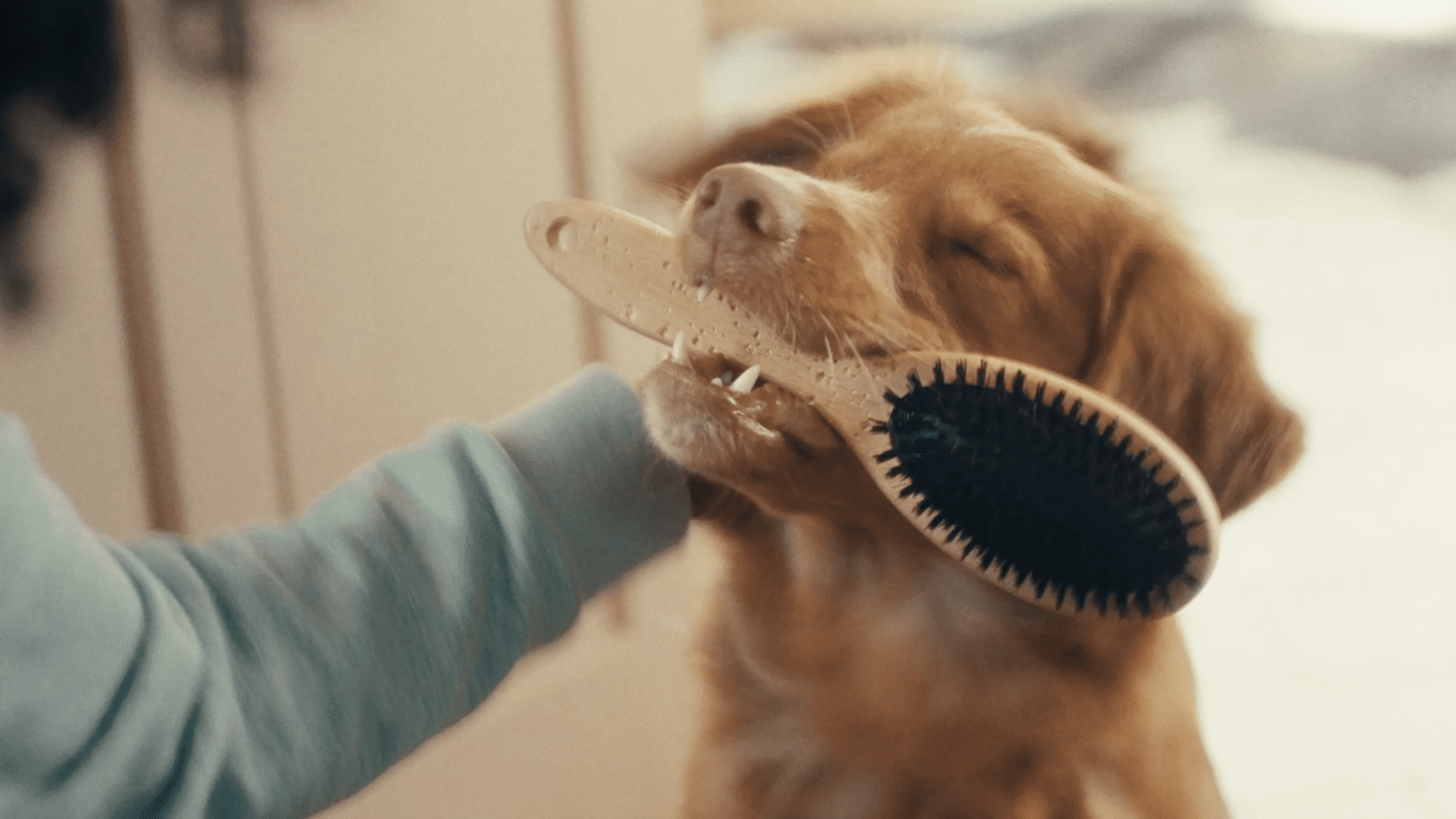 Scratch out fleas for good